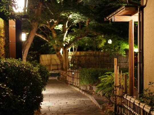 Bamboo Forest Path