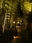Bamboo Forest Path