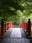 Bamboo Forest Path
