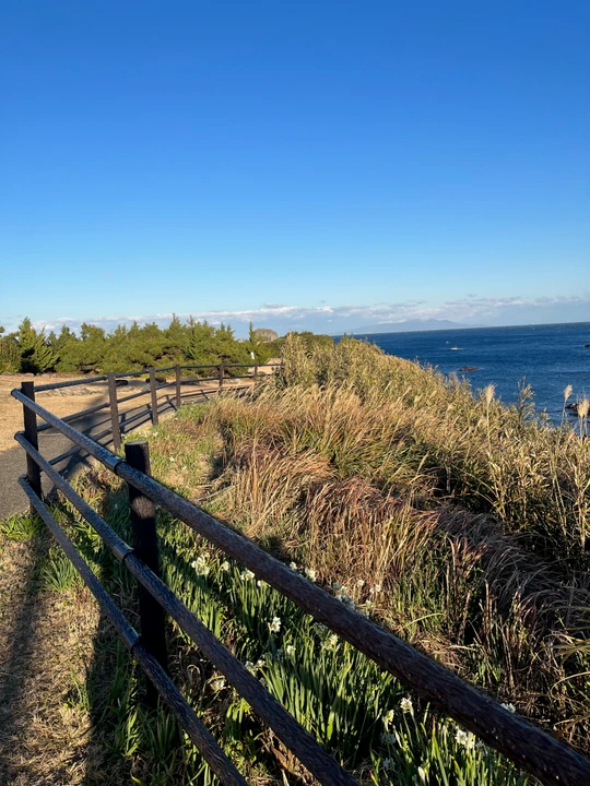 Cape Tsumeki