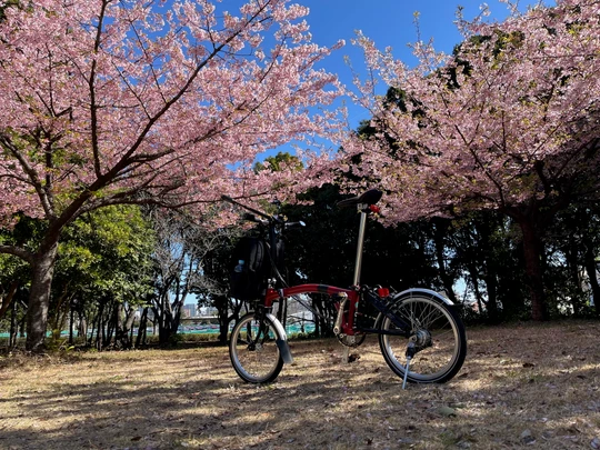 Chiba Port Park