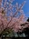 Chiba Port Park
