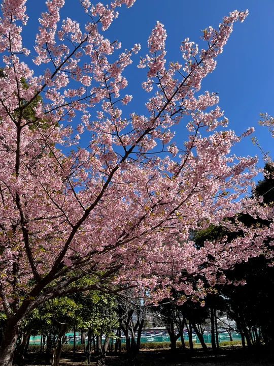 Chiba Port Park