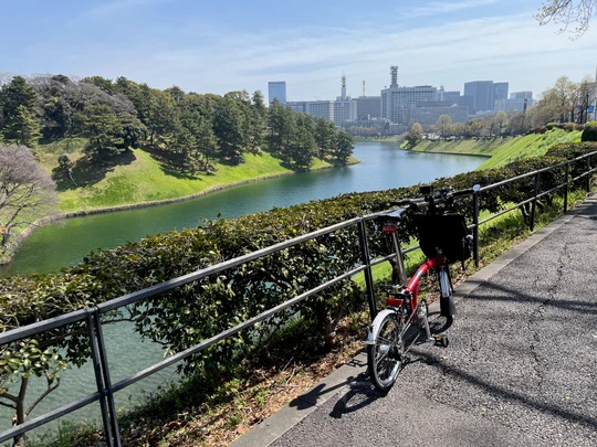 Chidorigafuchi Park