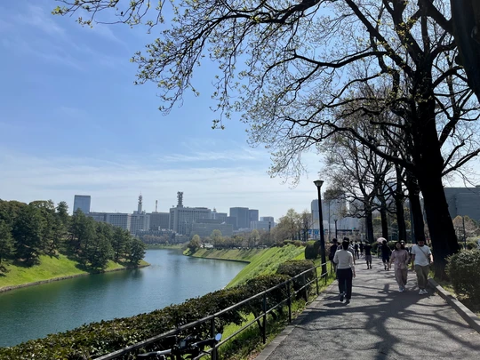 Chidorigafuchi Park