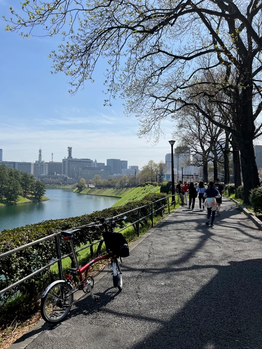 Chidorigafuchi Park