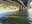 Chomeiji Bridge