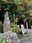 Chureito Pagoda
