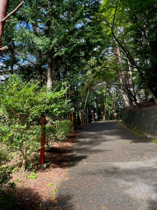 Chureito Pagoda