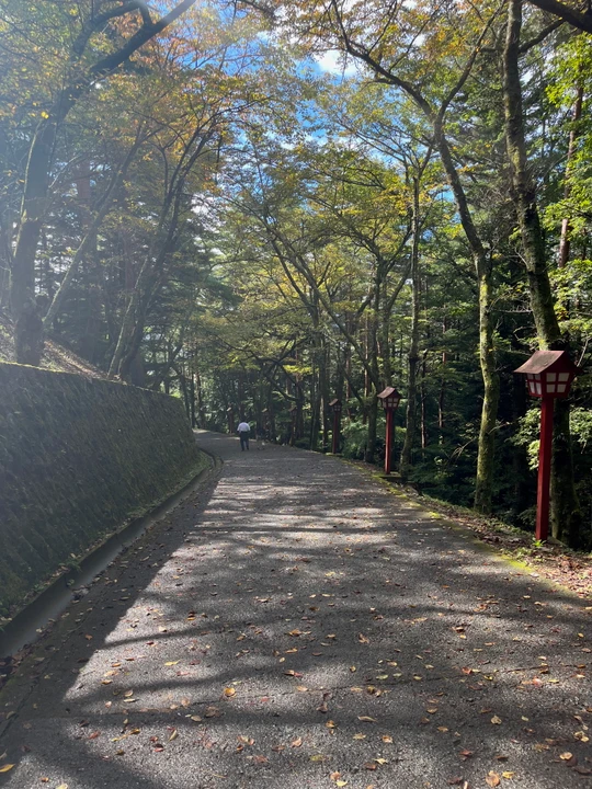 Chureito Pagoda