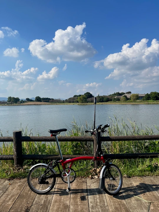 Crane Pond Park