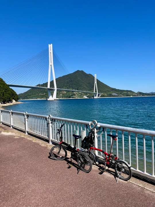 Cyclist Sanctuary