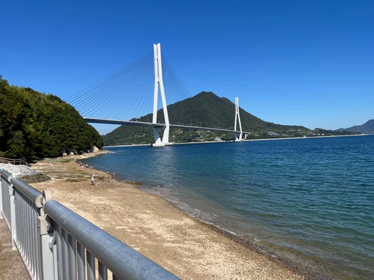 Cyclist Sanctuary