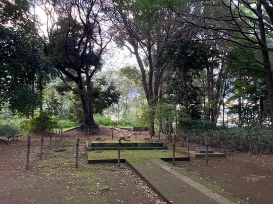Doryodo Ruins