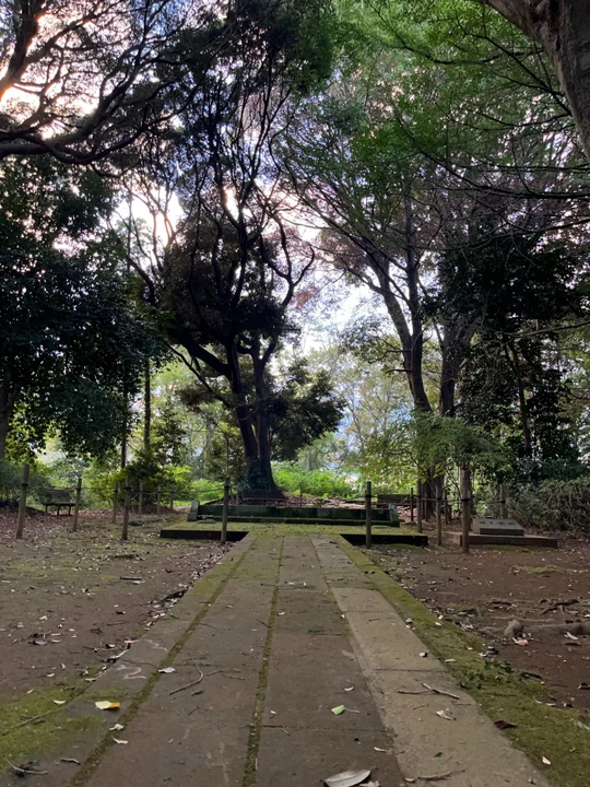 Doryodo Ruins