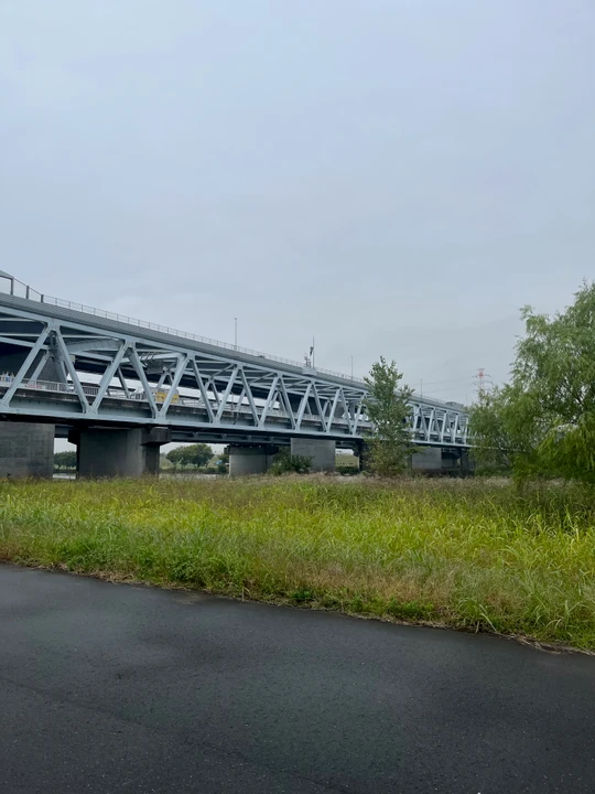 Edo River