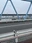 Edo River