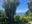 Enoshima