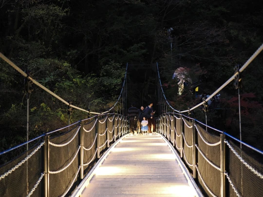 Fukuroda Falls
