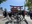 Fushimi Inari Shrine