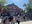Fushimi Inari Shrine