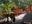 Fushimi Inari Shrine