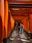 Fushimi Inari Shrine