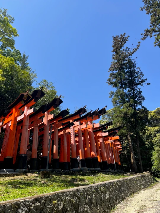 Fushimi Inari Shrine