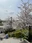 Futako Tamagawa Park