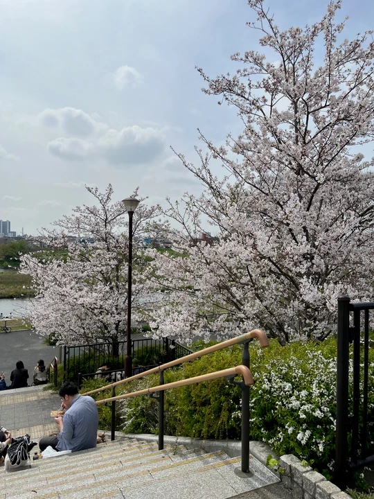 Futako Tamagawa Park