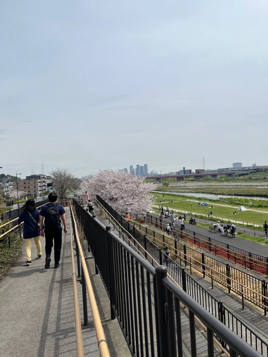 Futako Tamagawa Park