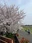 Futako Tamagawa Park