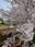 Futako Tamagawa Park