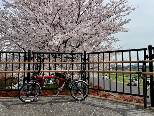 Futako Tamagawa Park