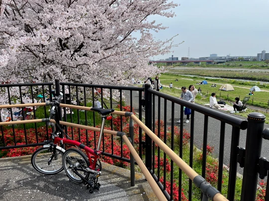 Futako Tamagawa Park