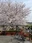 Futako Tamagawa Park
