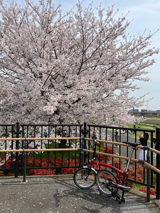 Futako Tamagawa Park