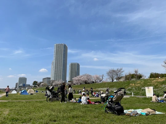 Futako Tamagawa Park