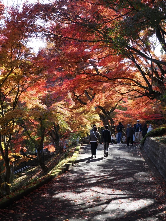 Gaunzan Eigenji Temple
