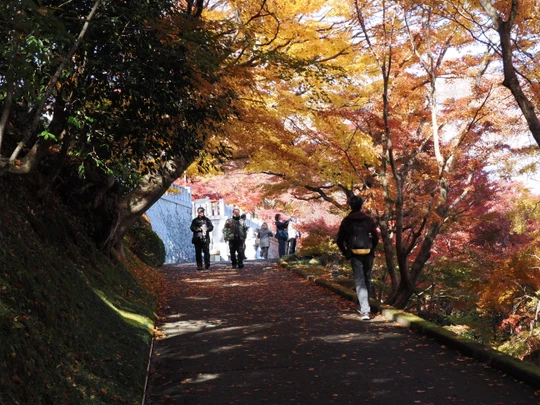 Gaunzan Eigenji Temple