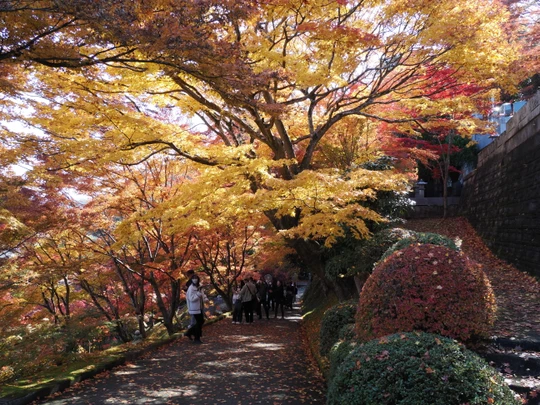 Gaunzan Eigenji Temple