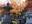Gaunzan Eigenji Temple