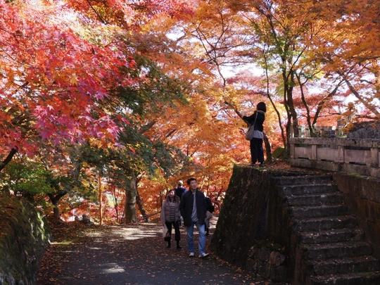 Gaunzan Eigenji Temple