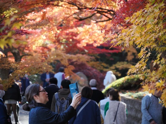 Gaunzan Eigenji Temple
