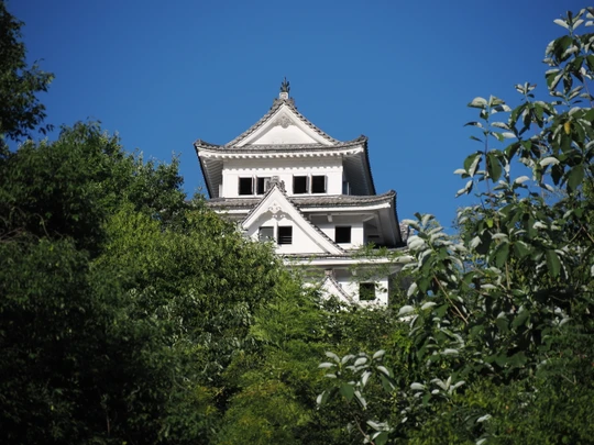 Gujo Hachiman Castle