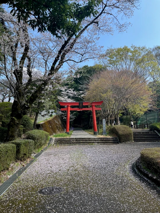 Hachimanyama park