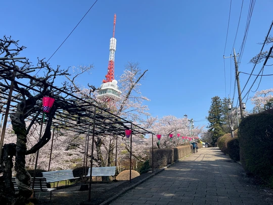 Hachimanyama park