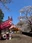 Hachimanyama park