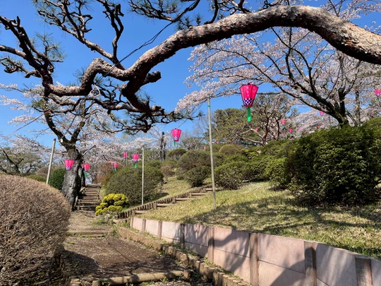 Hachimanyama park