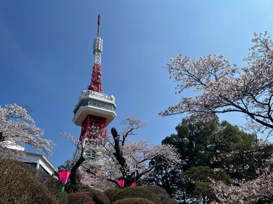 Hachimanyama park